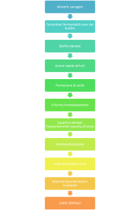 schema